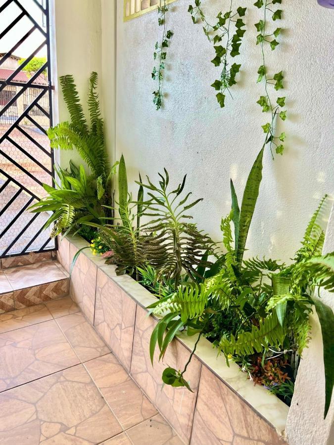 Apartament Aeroporto House Macapá Zewnętrze zdjęcie